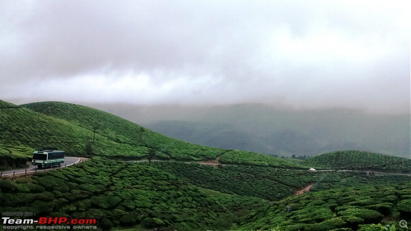 'BEAT'-ing the Drizzle at Munnar and Palakkad-img_20140831_094255486.jpg