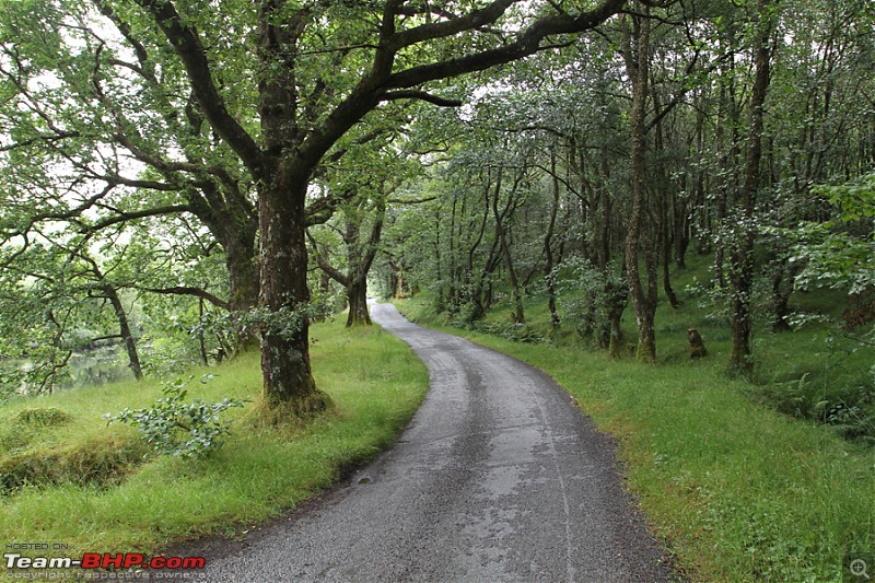 Driving in the Scottish Highlands-img_6796.jpg