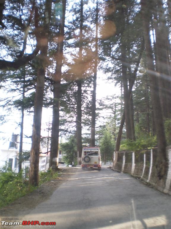 A peep into.. Valley of Gods-road-hadimba.jpg