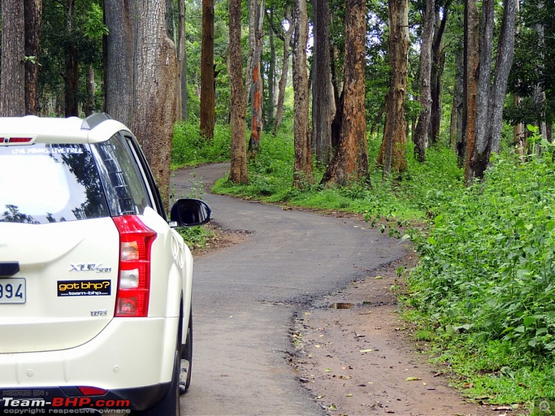 Diary scribes of an XUV500 - Drive from Kochi to Coorg-1.jpg