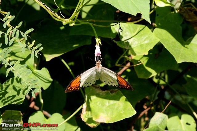 Maharashtra Nature Park - Converted from a dumping ground!-img_9015.jpg