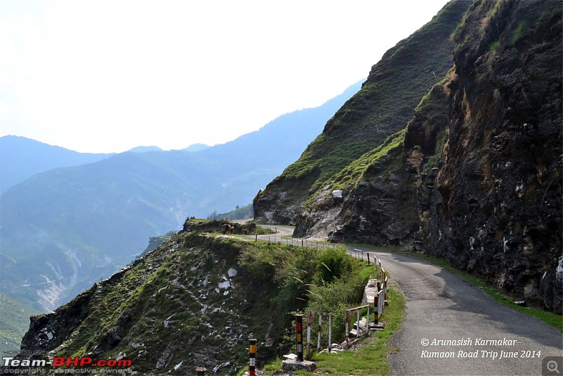 Kumaon roadtrip from Asansol (WB), via Jim Corbett National Park-dsc_0838.jpg