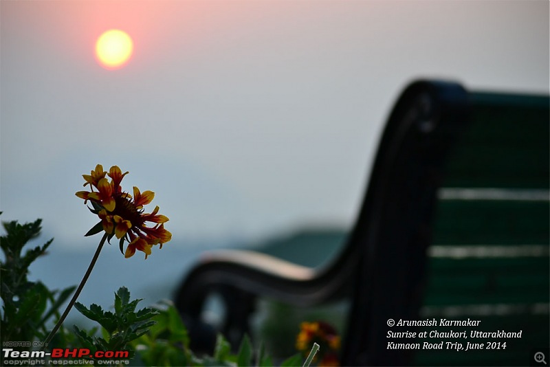 Kumaon roadtrip from Asansol (WB), via Jim Corbett National Park-dsc_1144.jpg