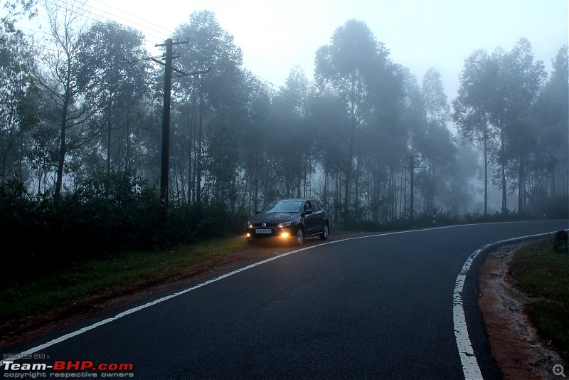 Polo GT TDI Chronicles - From Surat to Gods Own Country for my Wedding!-munnar_4.jpg