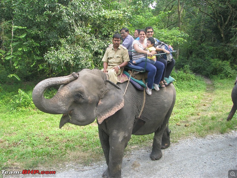 Nature, Culture & Fun  Jaldapara & Bhutan in a Safari Storme-b38.jpg