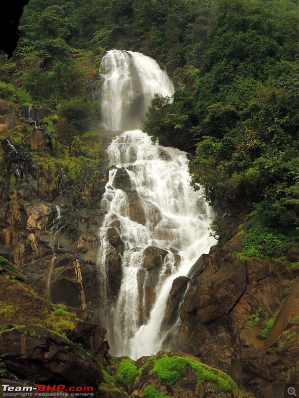 All you need to know about Dudhsagar Falls-dscn4515.jpg