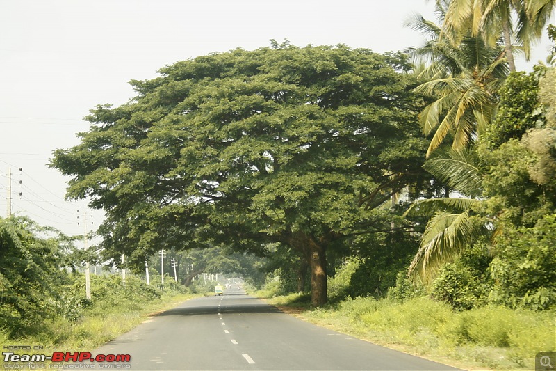 K.Gudi & B.R. Hills - A serene getaway from Bangalore-_mg_1940.jpg