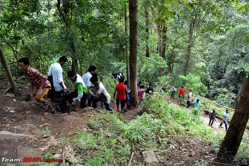 Chennai to Kodaikanal - via Valparai, Athirappilly, Kochi & Vagamon-00773.jpg