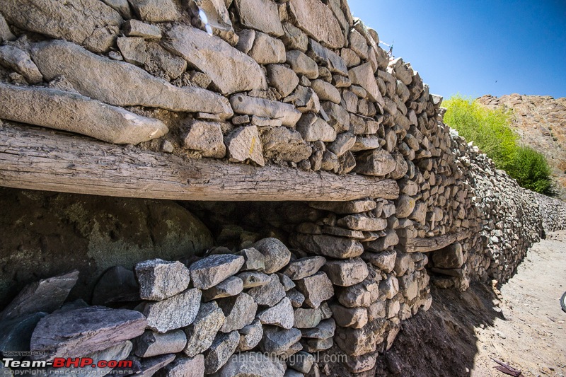 Lost Treasure - Ladakh!-dsc_4996.jpg