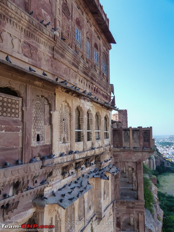 Of Palaces and Forts - Royal Rajasthan-p1030020.jpg