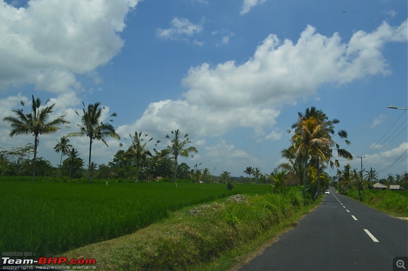 Story of the little piece of Bali in our hearts!-dsc_0552.jpg