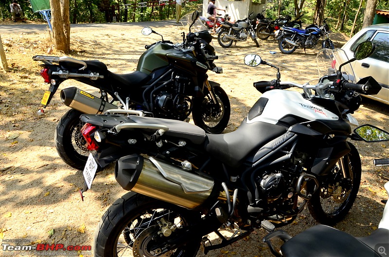 Triumphs & Tigers : Heady combination for a 1000 kms weekend ride!-_dsc1600.jpg