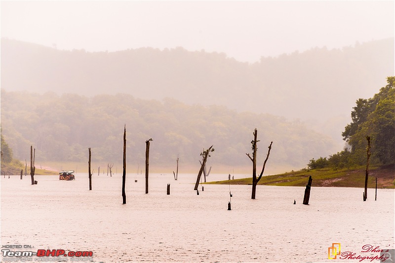 Monsoon - To the Sky Cottage, Munnar-5.jpg