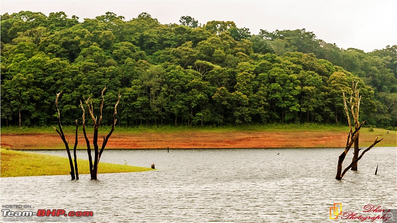 Monsoon - To the Sky Cottage, Munnar-7.jpg