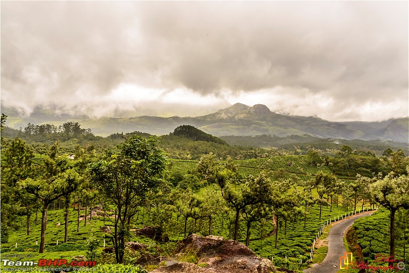 Monsoon - To the Sky Cottage, Munnar-dsc_1531e.jpg