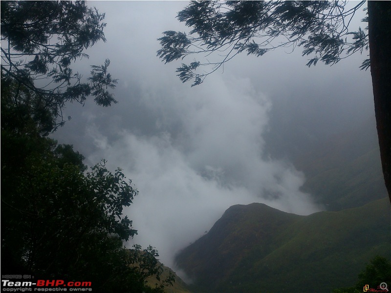 Monsoon - To the Sky Cottage, Munnar-dsc_1132.jpg