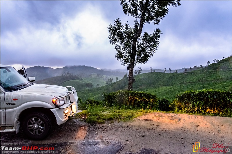 Monsoon - To the Sky Cottage, Munnar-dsc_1612e.jpg