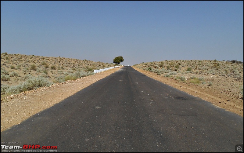 Desert Storm'd into the Thar Desert and the Little Rann of Kutch-dscn2003.jpg