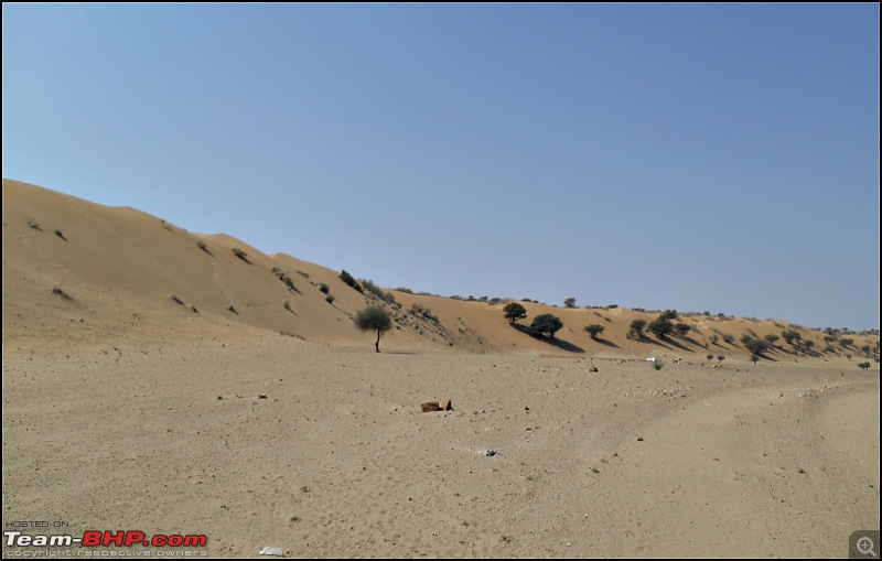 Desert Storm'd into the Thar Desert and the Little Rann of Kutch-dscn2013.jpg