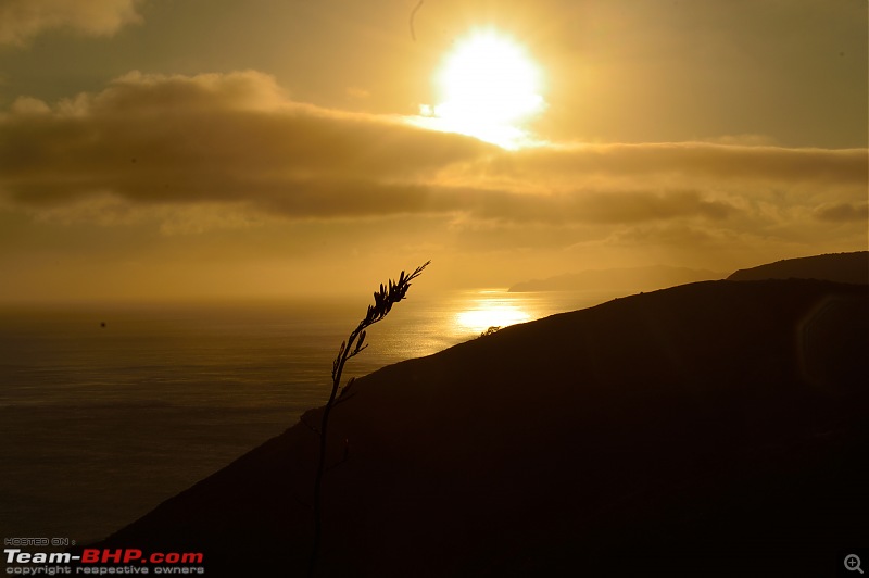 1 Country, 2 Islands, 4 weeks - New Zealand-dsc_0378-3.jpg