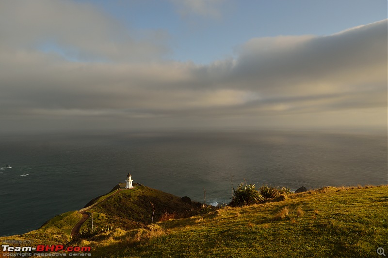 1 Country, 2 Islands, 4 weeks - New Zealand-dsc_0395-3.jpg