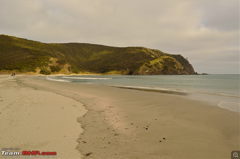 1 Country, 2 Islands, 4 weeks - New Zealand-dsc_0415-3.jpg