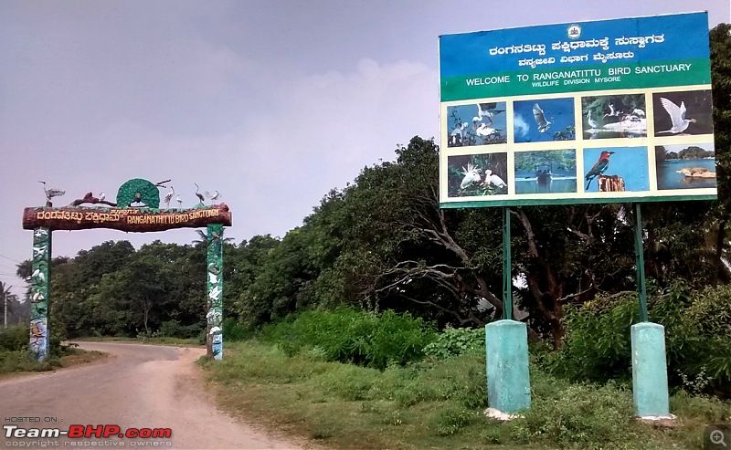 Photologue - Day trip to the Ranganathittu Bird Sanctuary!-01.jpg