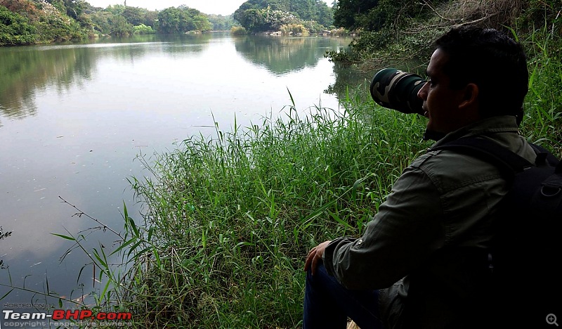 Photologue - Day trip to the Ranganathittu Bird Sanctuary!-05.jpg