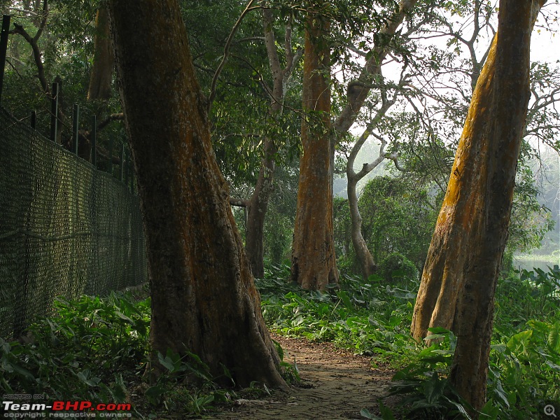 A day at the Parmadan Sanctuary, in the backyard of Bengal-img_1294.jpg