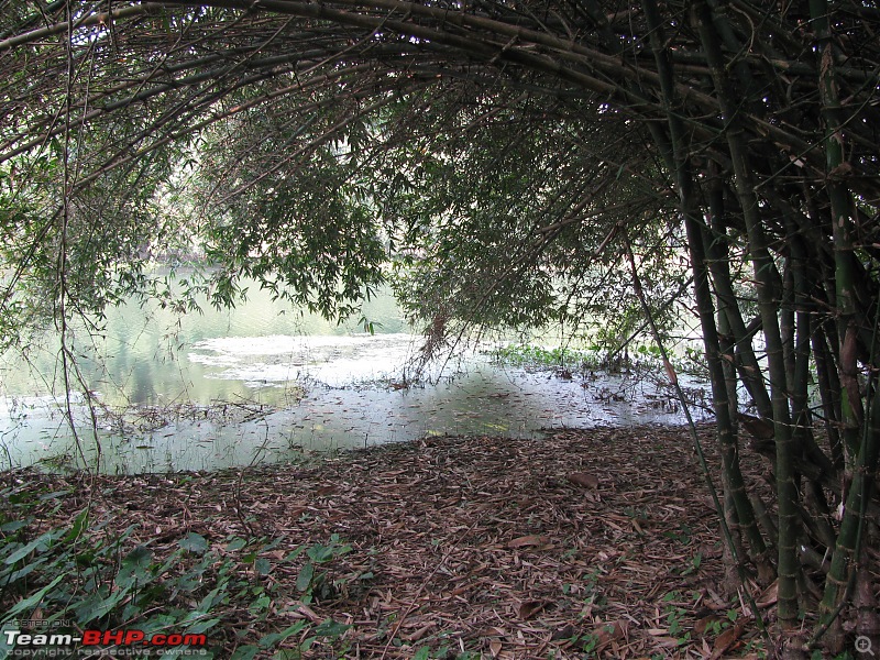 A day at the Parmadan Sanctuary, in the backyard of Bengal-img_1280.jpg