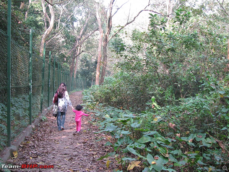 A day at the Parmadan Sanctuary, in the backyard of Bengal-img_1357.jpg