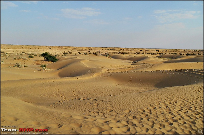 Desert Storm'd into the Thar Desert and the Little Rann of Kutch-dscn2110.jpg