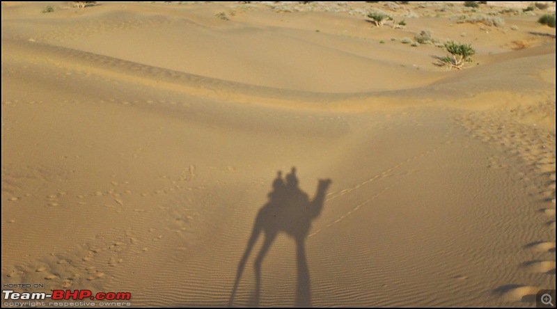 Desert Storm'd into the Thar Desert and the Little Rann of Kutch-dscn2111.jpg