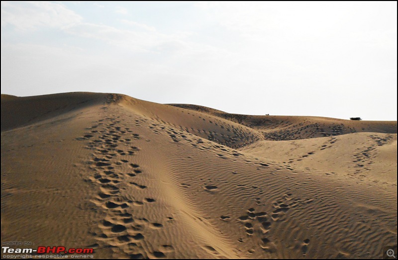 Desert Storm'd into the Thar Desert and the Little Rann of Kutch-dscn2114.jpg