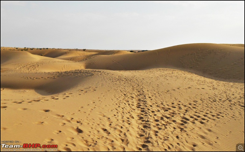 Desert Storm'd into the Thar Desert and the Little Rann of Kutch-dscn2116.jpg