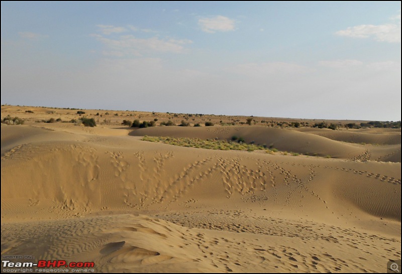 Desert Storm'd into the Thar Desert and the Little Rann of Kutch-dscn2119.jpg
