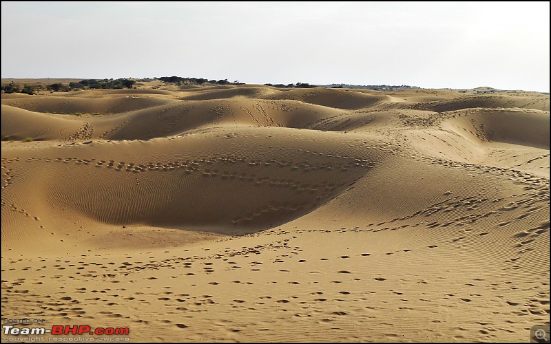 Desert Storm'd into the Thar Desert and the Little Rann of Kutch-dscn2120.jpg