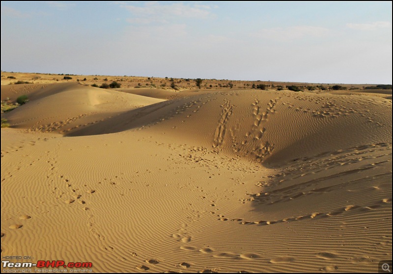Desert Storm'd into the Thar Desert and the Little Rann of Kutch-dscn2122.jpg