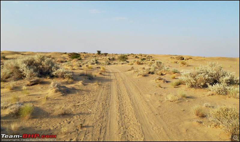 Desert Storm'd into the Thar Desert and the Little Rann of Kutch-dscn2131.jpg
