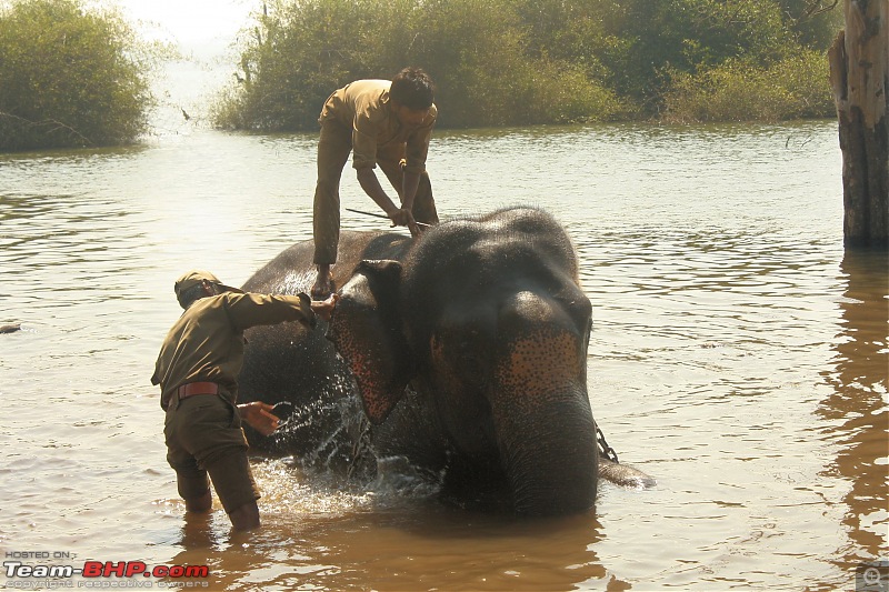 Weekend Trip : Bangalore - Kollur - Kodachadri -Sringeri - Halebidu-sakre-04.jpg