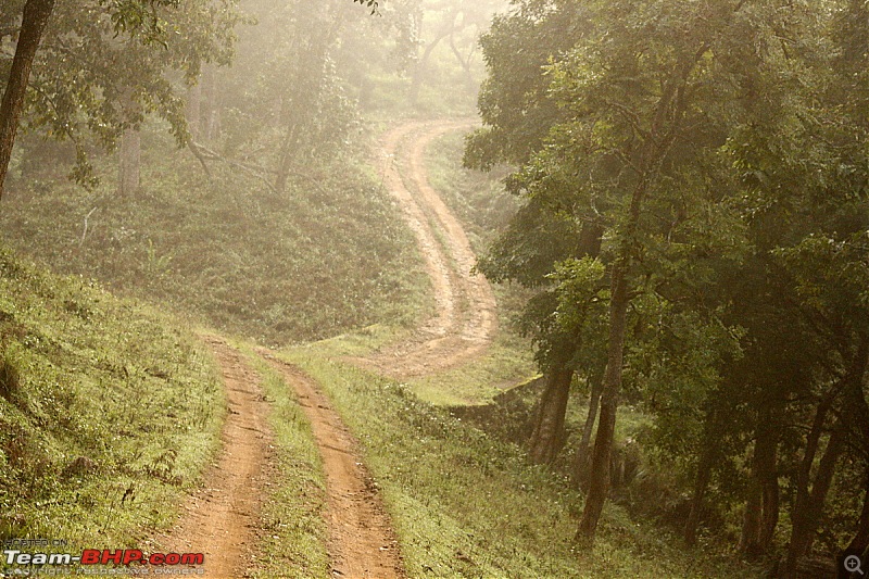 K.Gudi & B.R. Hills - A serene getaway from Bangalore-_mg_2249.jpg