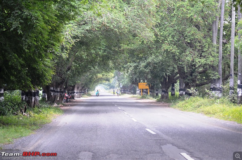 Short trip to Alamparai Fort & Vedanthangal Bird Sanctuary-dsc_0086.jpg