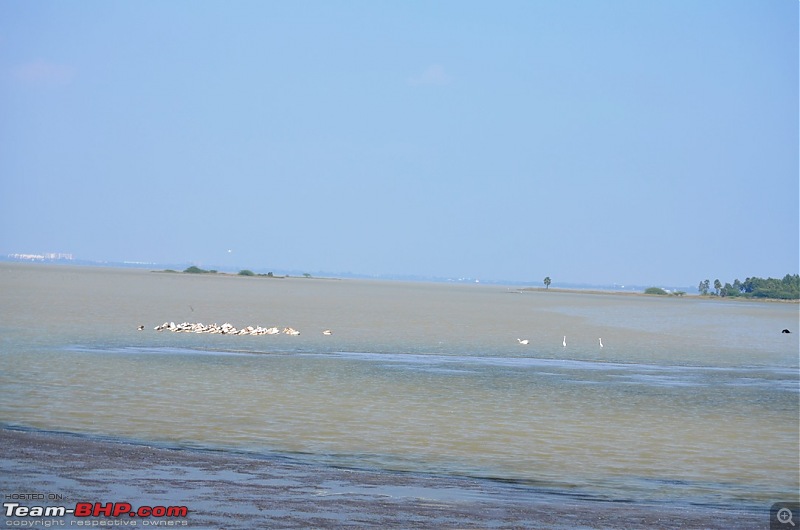 Short trip to Alamparai Fort & Vedanthangal Bird Sanctuary-dsc_0089.jpg