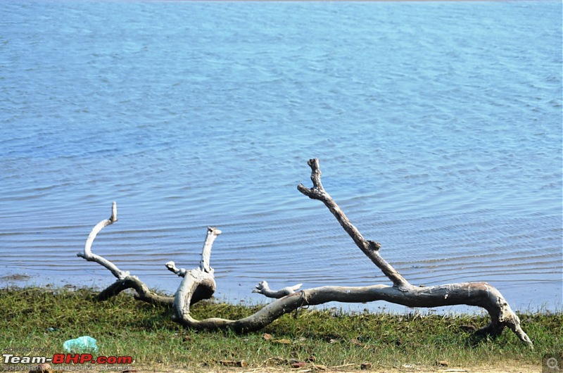 Short trip to Alamparai Fort & Vedanthangal Bird Sanctuary-dsc_0116.jpg