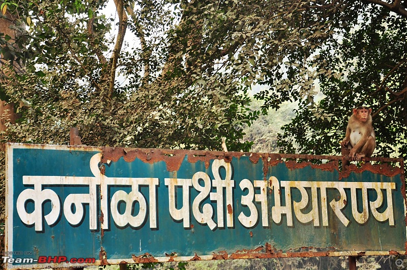 Treks around Mumbai: Karnala Bird Sanctuary & Kalavantin Durg-dsc_0003.jpg
