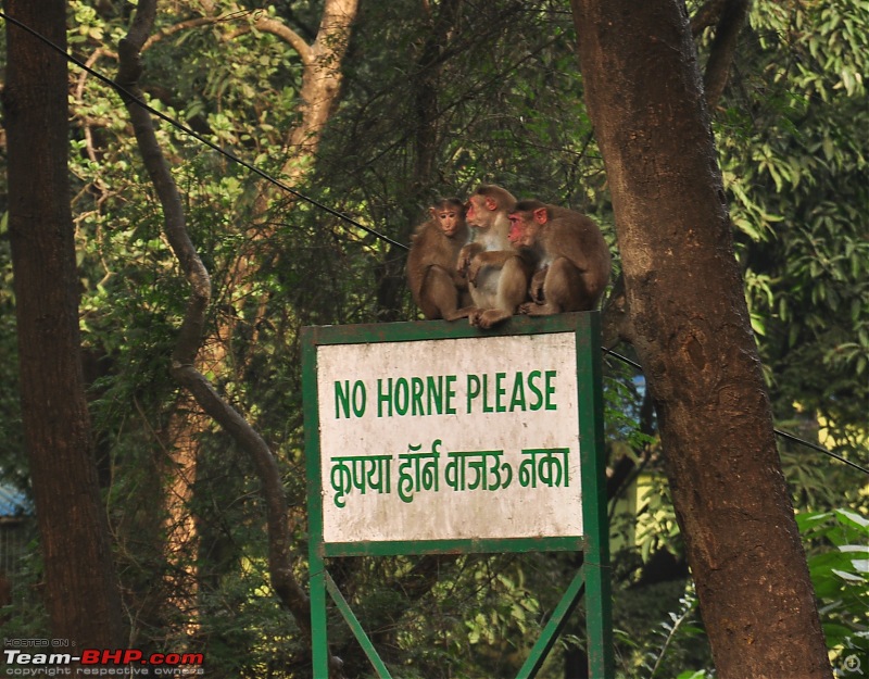 Treks around Mumbai: Karnala Bird Sanctuary & Kalavantin Durg-dsc_0004.jpg