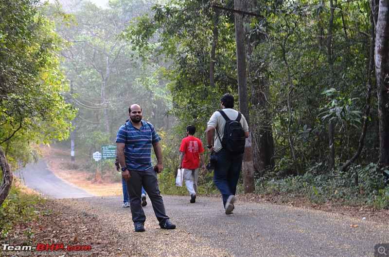 Treks around Mumbai: Karnala Bird Sanctuary & Kalavantin Durg-dsc_0906.jpg