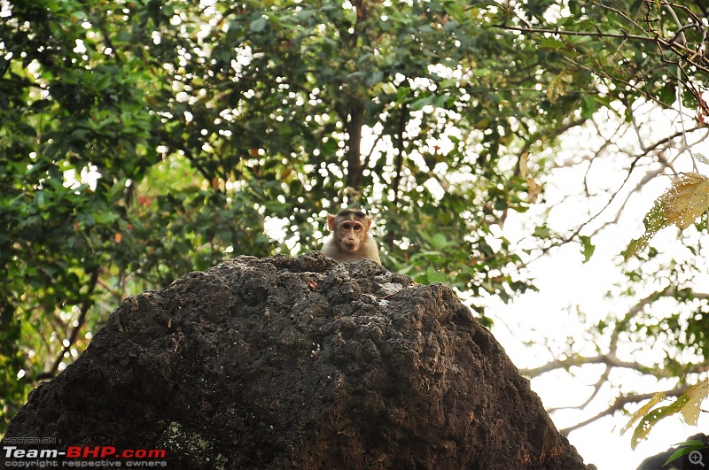 Treks around Mumbai: Karnala Bird Sanctuary & Kalavantin Durg-dsc_0011.jpg