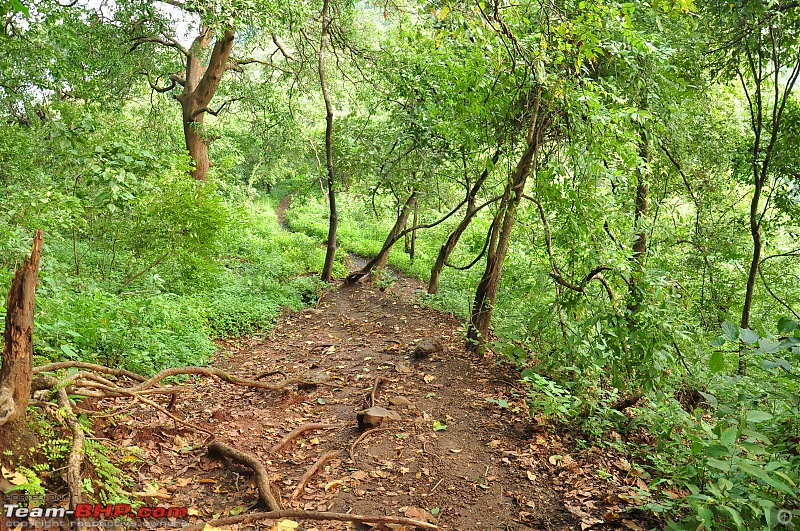Treks around Mumbai: Karnala Bird Sanctuary & Kalavantin Durg-dsc_0072.jpg