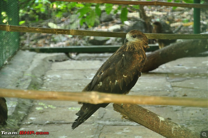 Treks around Mumbai: Karnala Bird Sanctuary & Kalavantin Durg-dsc_0185.jpg